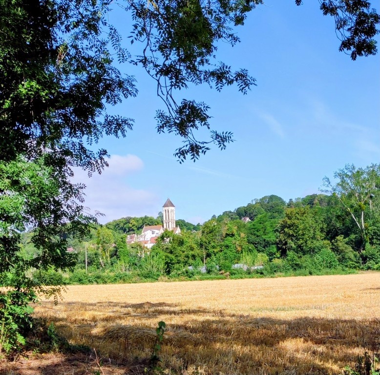 rando